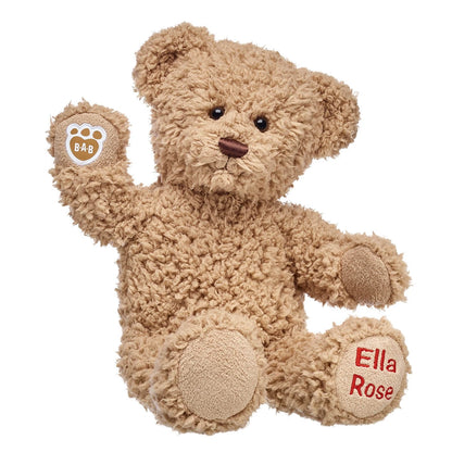 Embroidered Teddy Bear | Online Exclusive Gift | Shop at Build-A-Bear® - US 5883
