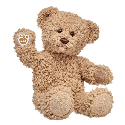Baltimore Ravens Timeless Teddy Bear Football Gift Set - US 9215