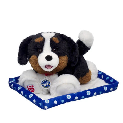 Promise Pets Bernese Mountain Dog Stuffed Animal w/ Blue Bed | Build-A-Bear - US 4401