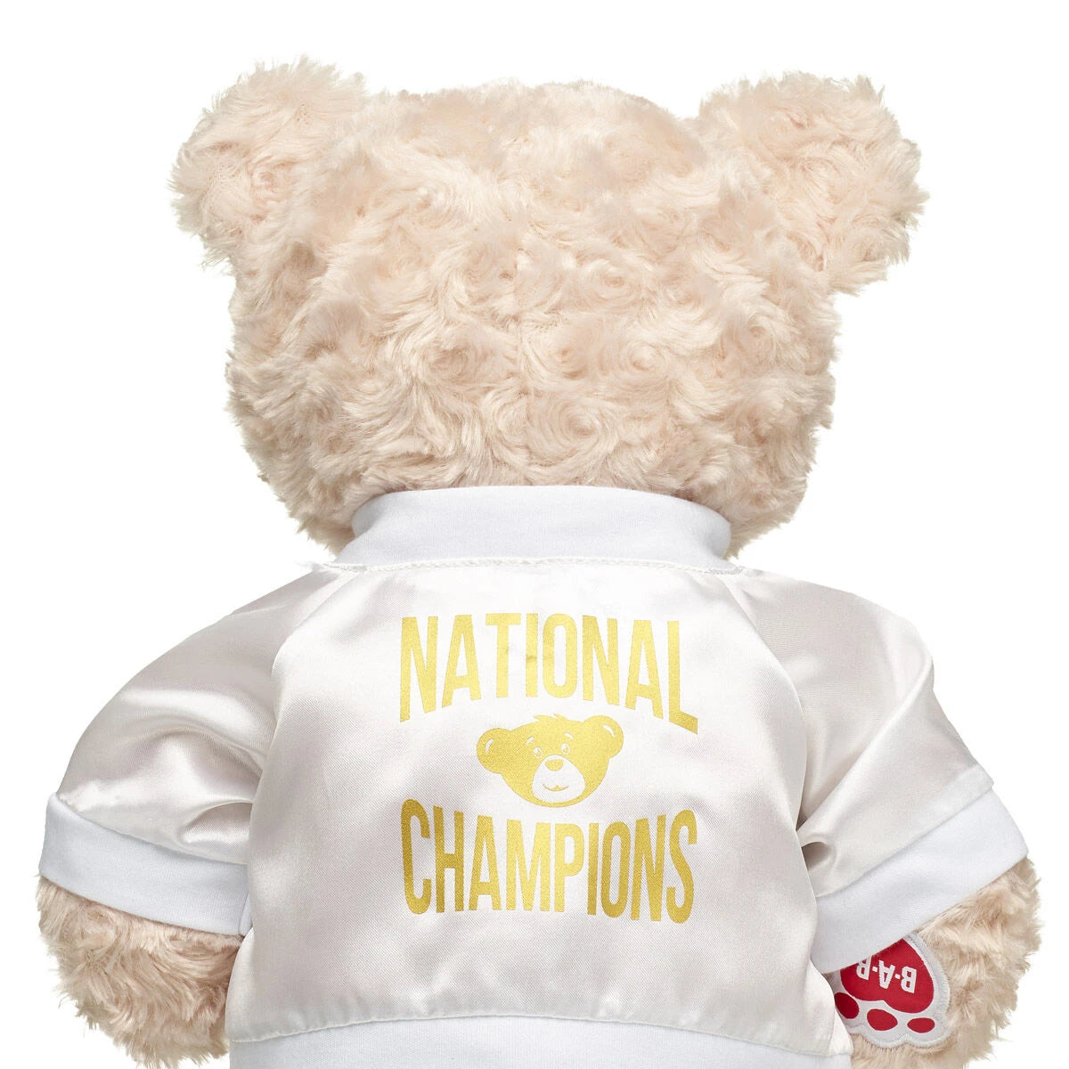 Varsity Spirit National Champions Jacket | Build-A-Bear® - US 8917