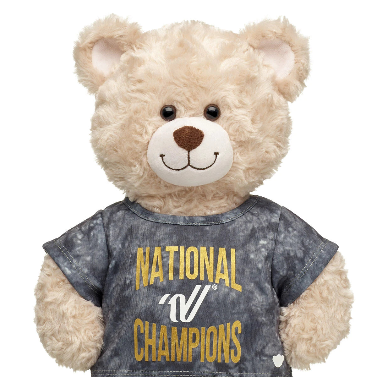 Varsity Spirit National Champions T-Shirt | Build-A-Bear® - US 0037