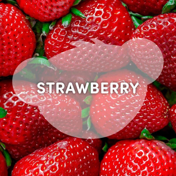 Strawberry Lemonade Bear Slushie Plushie Scented | BAB - US 4950