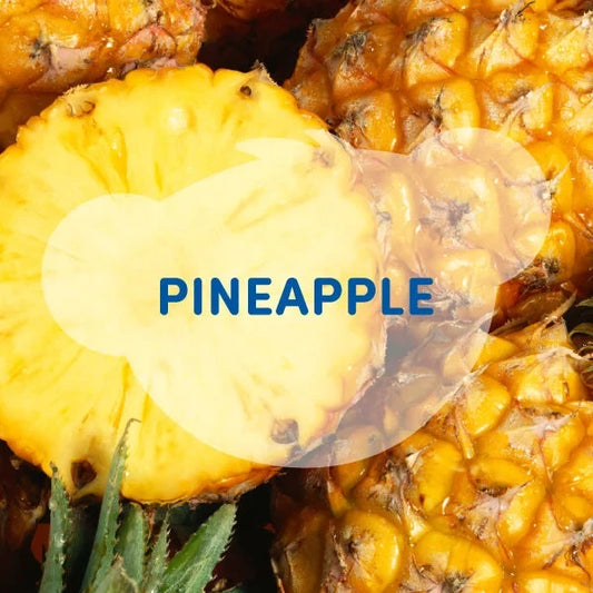 SCENTiments™ Fresh Pineapple Scent for Stuffed Animals | Build-A-Bear® - US 8589